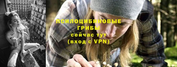 2c-b Кукмор